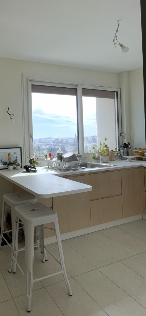 Cuisine , Clermont Ferrand (63) , par Cot A Cot Architecture d'intérieur.