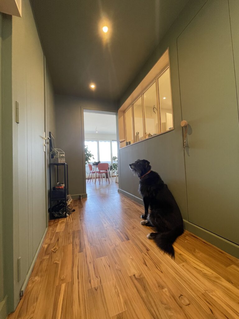 Rénovation appartement, Clermont Ferrand (63), par Cot A Cot Architecture d'intérieur.
