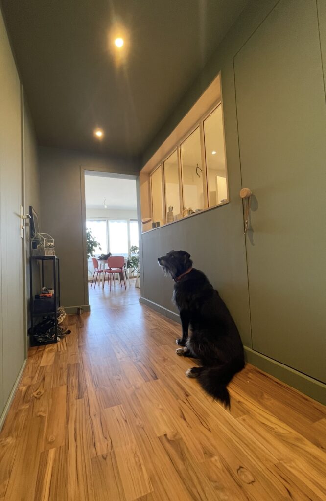 Rénovation complète appartement -à Clermont Ferrand, par Cot a Cot Architecture d'intérieur.